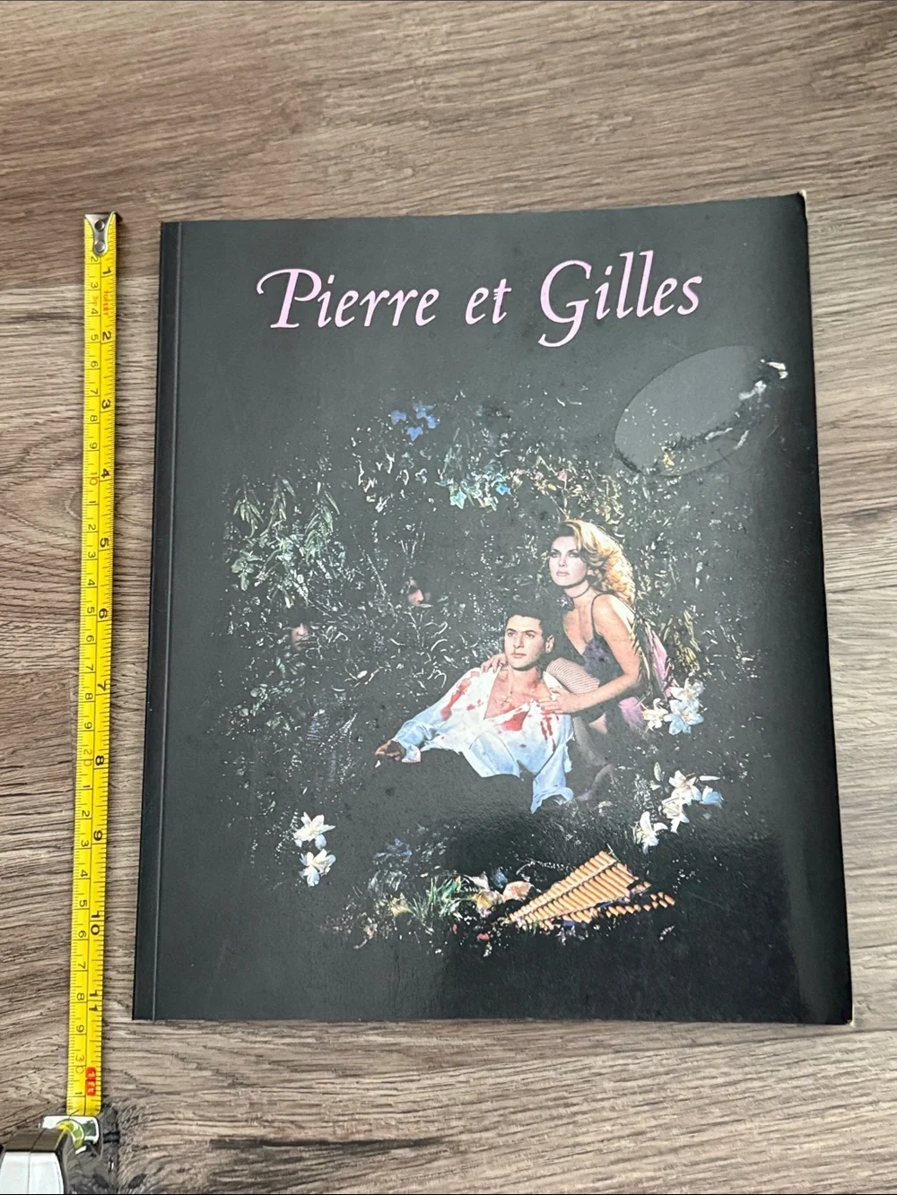 Pierre et Gilles Art Monograph (2000 Softcover Book) Dan Cameron